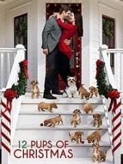 12 щенят Рождества (12 Pups of Christmas) (2019)