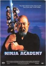 Академия ниндзя (Ninja Academy) 1988