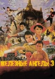 Ангелы 3 (Возвращение Железных ангелов) (Tian shi xing dong III mo nu mo ri (Angels 3, Return of Iron Angels)) 1989