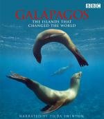 BBC: Галапагосы (BBC: Galapagos) (2007)