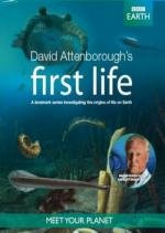 BBC: Первая жизнь (BBC: David Attenborough's First Life) (2010)
