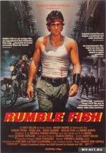 Бойцовая рыбка (Rumble Fish) (1983)