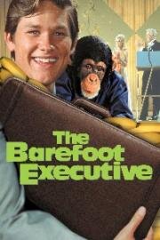 Босоногий директор (Босой руководитель) (The Barefoot Executive) (1971)