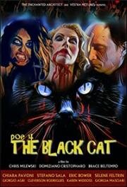 Чёрный кот (POE 4: The Black Cat)