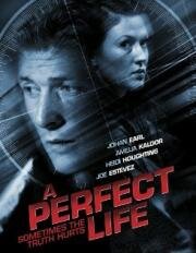 Идеальная жизнь (A Perfect Life) 2010