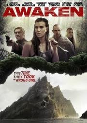 Идеальные каникулы (A Perfect Vacation) (2015)