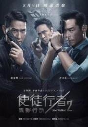 Идущий по линии 2: Теневой агент (Shi tu xing zhe 2: die ying xing dong (Line Walker 2: Invisible Spy)) 2019
