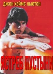 Кикбоксинг в пустыне (Ястреб пустыни) (Desert Kickboxer (Desert Hawk)) (1992)