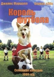 Король футбола (Soccer Dog: The Movie) 1999