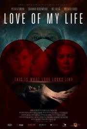 Любовь моей жизни (Love of my Life) (2013)