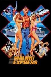 Малибу-экспресс (Malibu Express) (1985)