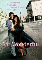 Мистер Чудо (Идеальный мужчина, Мистер Прекрасный) (Mr. Wonderful) (1993)