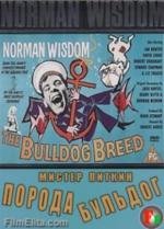 Мистер Питкин: Порода бульдог (The Bulldog Breed) (1960)