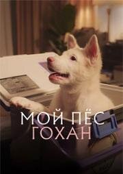 Мой пёс Гохан (Gohan) (2026)