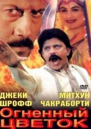 Огненный цветок (Цветок и пламя) (Phool Aur Aag) (1999)