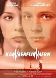 Остановка сердца (Kammerflimmern) (2004)