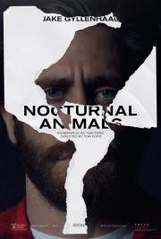 Под покровом ночи (Nocturnal Animals) (2016)