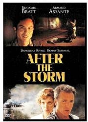 После шторма (After the Storm) 2001