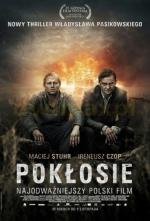 Последствия (Pok) 2012
