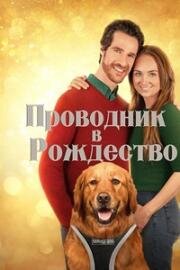 Проводник в Рождество (My Christmas Guide) (2023)
