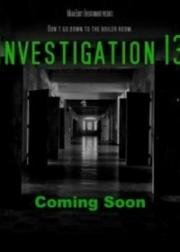 Расследование 13 (2019)