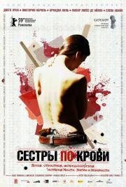 Сестры по крови (Solo quiero caminar) (2008)