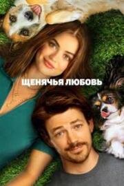 Щенячья любовь (Puppy Love) 2023