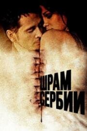 Шрамы Сербии (Serbian Scars) 2009