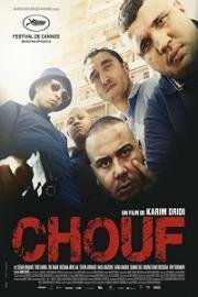 Шуф (Смотреть) (Chouf) (2016)