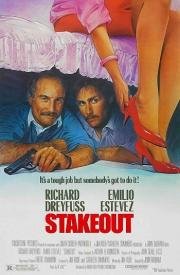Слежка (Stakeout)