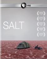 Соль (2009)