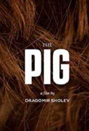 Свинья (Praseto) 2019