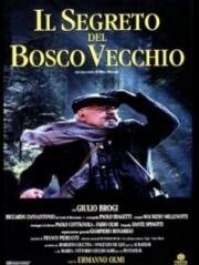 Тайна старого леса (Il segreto del bosco vecchio) (1993)