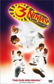 Три ниндзя (3 Ninjas) (1992)
