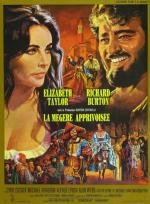 Укрощение строптивой (The Taming Of The Shrew) (1967)