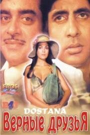 Верные друзья (Dostana) 1980