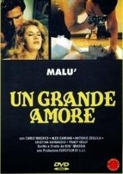 Желание (Un grande amore) (1995)