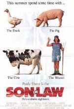 Зятек (Son in Law) (1993)