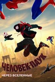 Человек-паук: Через вселенные (Spider-Man: Into the Spider-Verse) (2018)