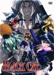 Черный Кот (Black Cat) 2005