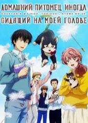 Домашний питомец, иногда сидящий на моей голове (Doukyonin wa Hiza, Tokidoki, Atama no Ue. (My Roommate Is a Cat)) (2019)