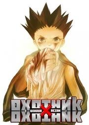 Охотник х Охотник (Hunter x Hunter) (2011)