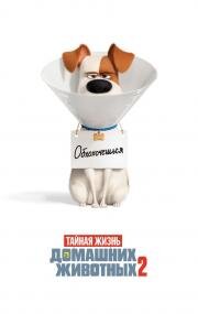 Тайная жизнь домашних животных 2 (The Secret Life of Pets 2) (2019)
