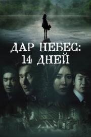 Дар небес: 14 дней (2014)