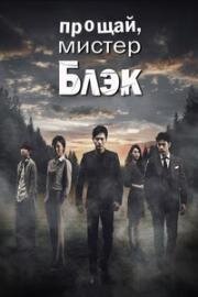 Прощайте, мистер Блэк (2016)